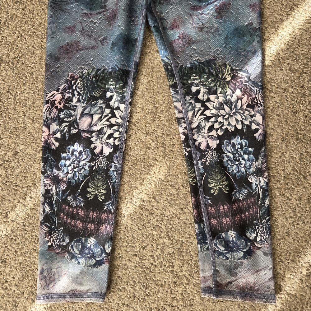 Evolution And Creation Cactus Succulent Sugar Sku… - image 3